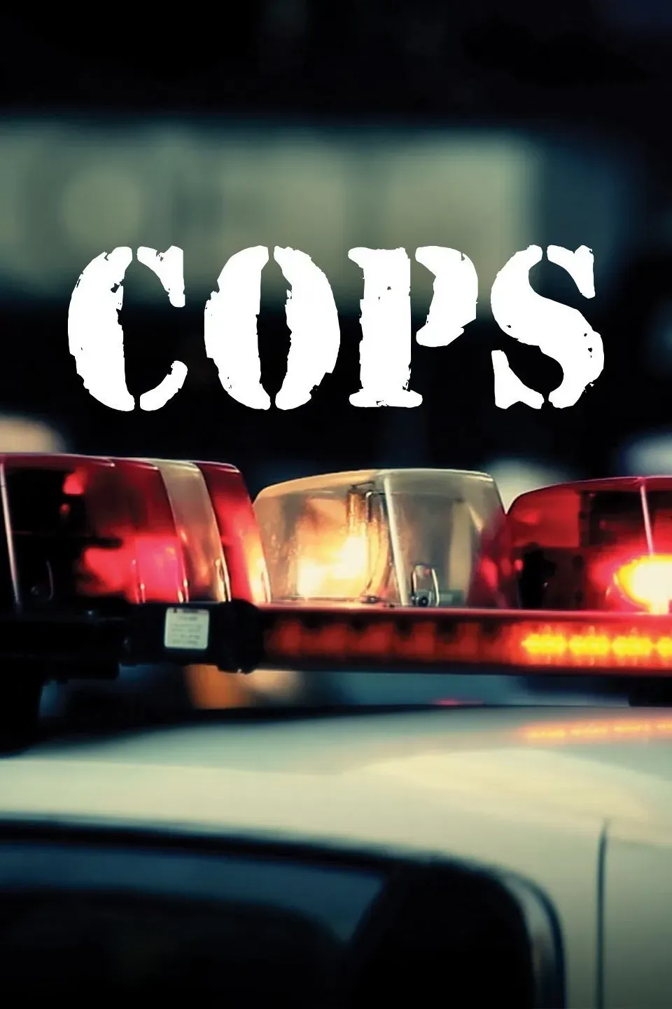 COPS provokes: Police routine and ethical gray areas