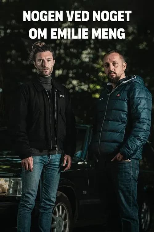 Nogen Ved Noget afslører politiets systemfejl