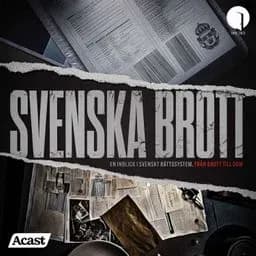 Swedish crimes & mysteries: Sparking debate and insight