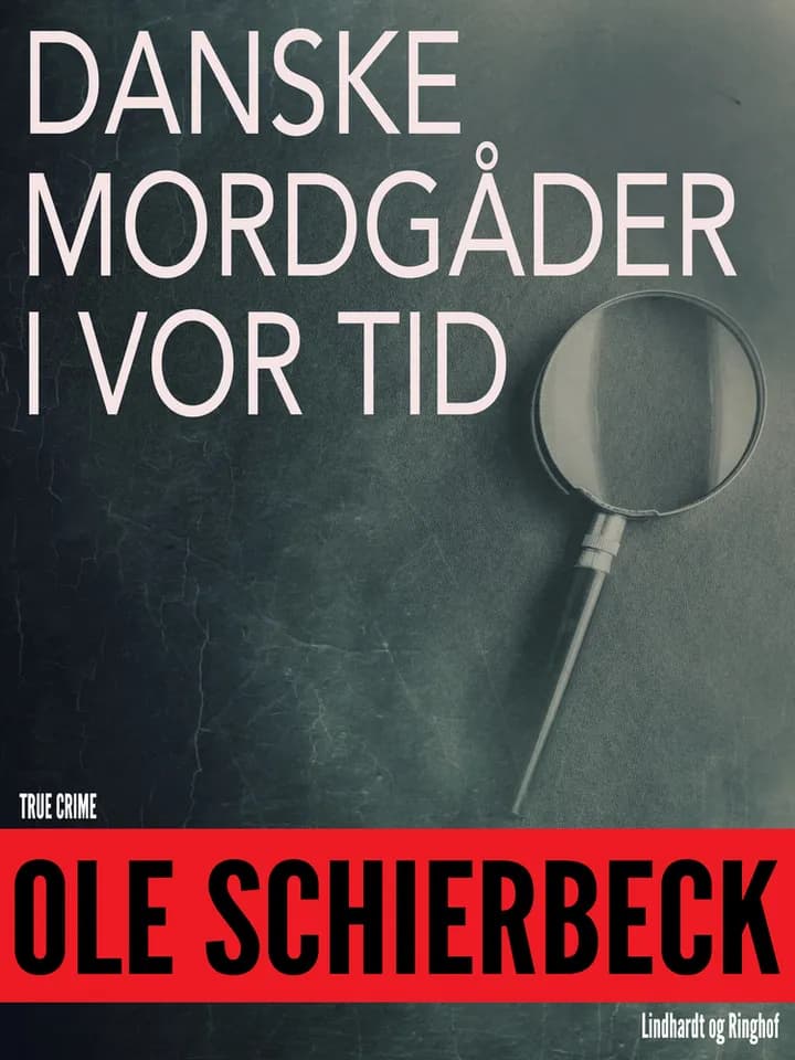 Danish Murder Mysteries uncover society's crime puzzles