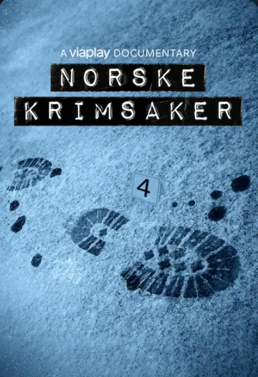 Norwegian Crime Cases