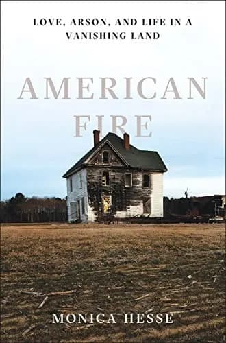 American Fire — bogomslag (Open Library)