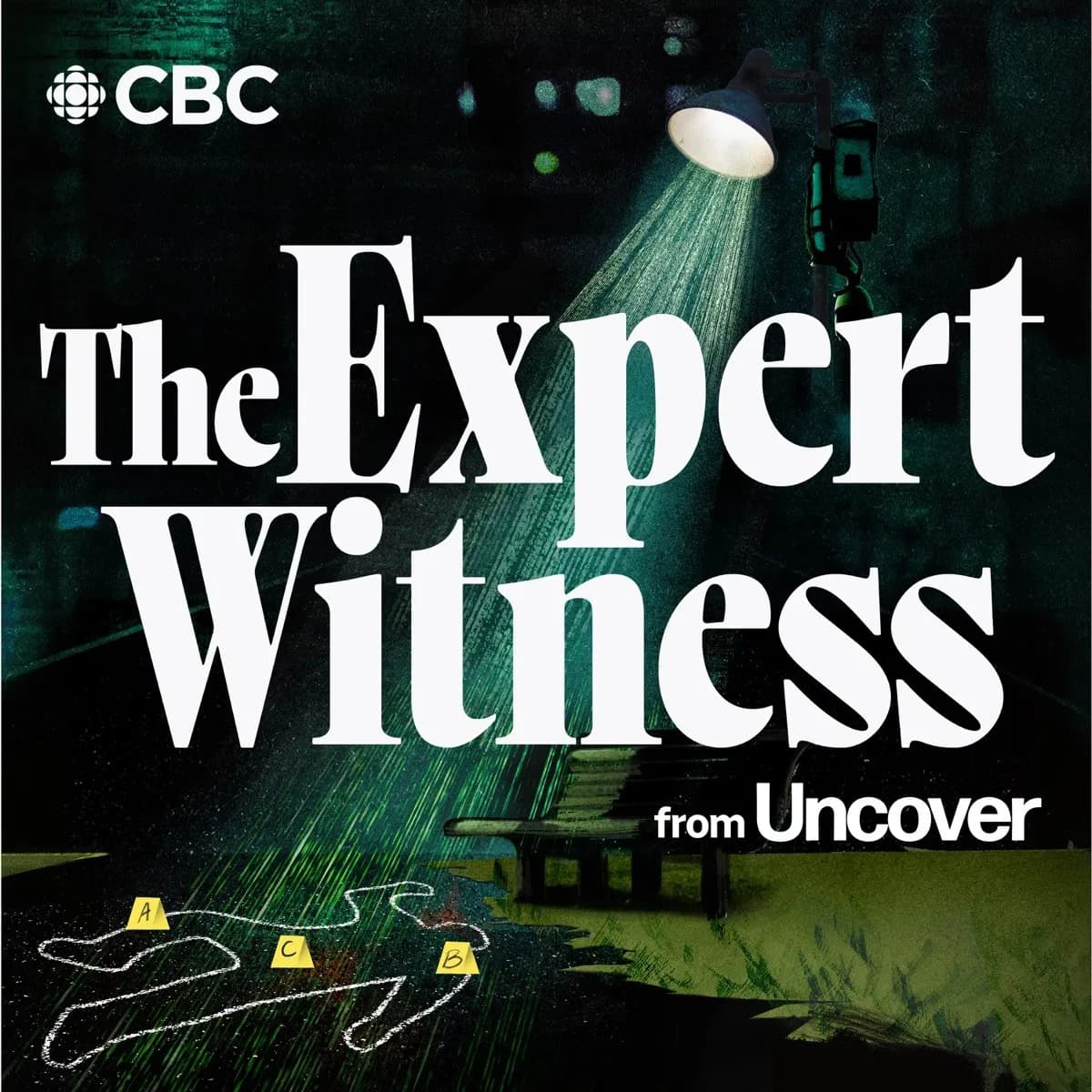 Officielt coverbillede for The Expert Witness