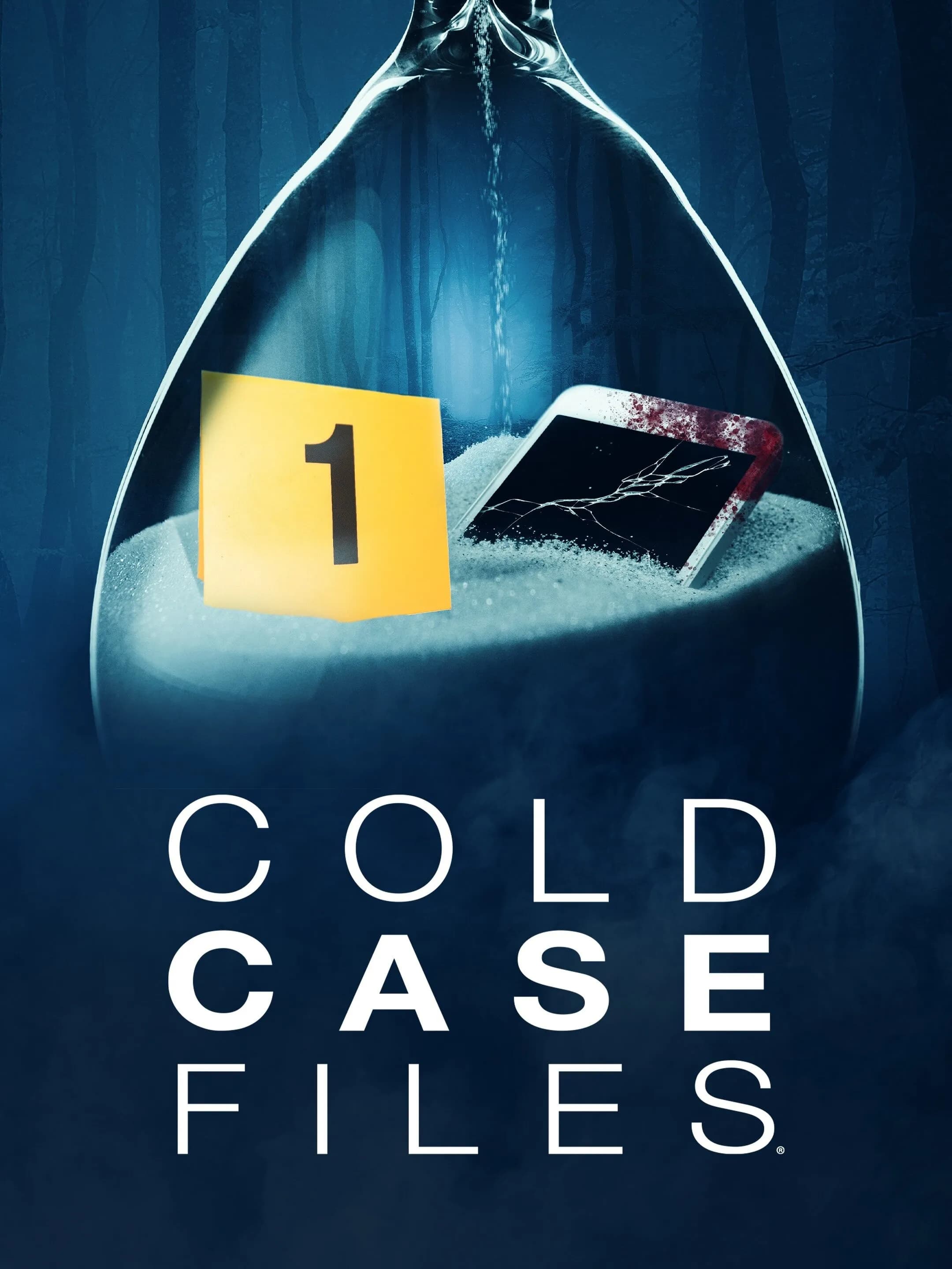 Officielt coverbillede for Cold Case Files