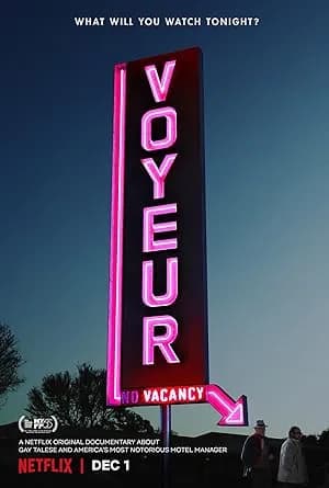 Voyeur promotional poster