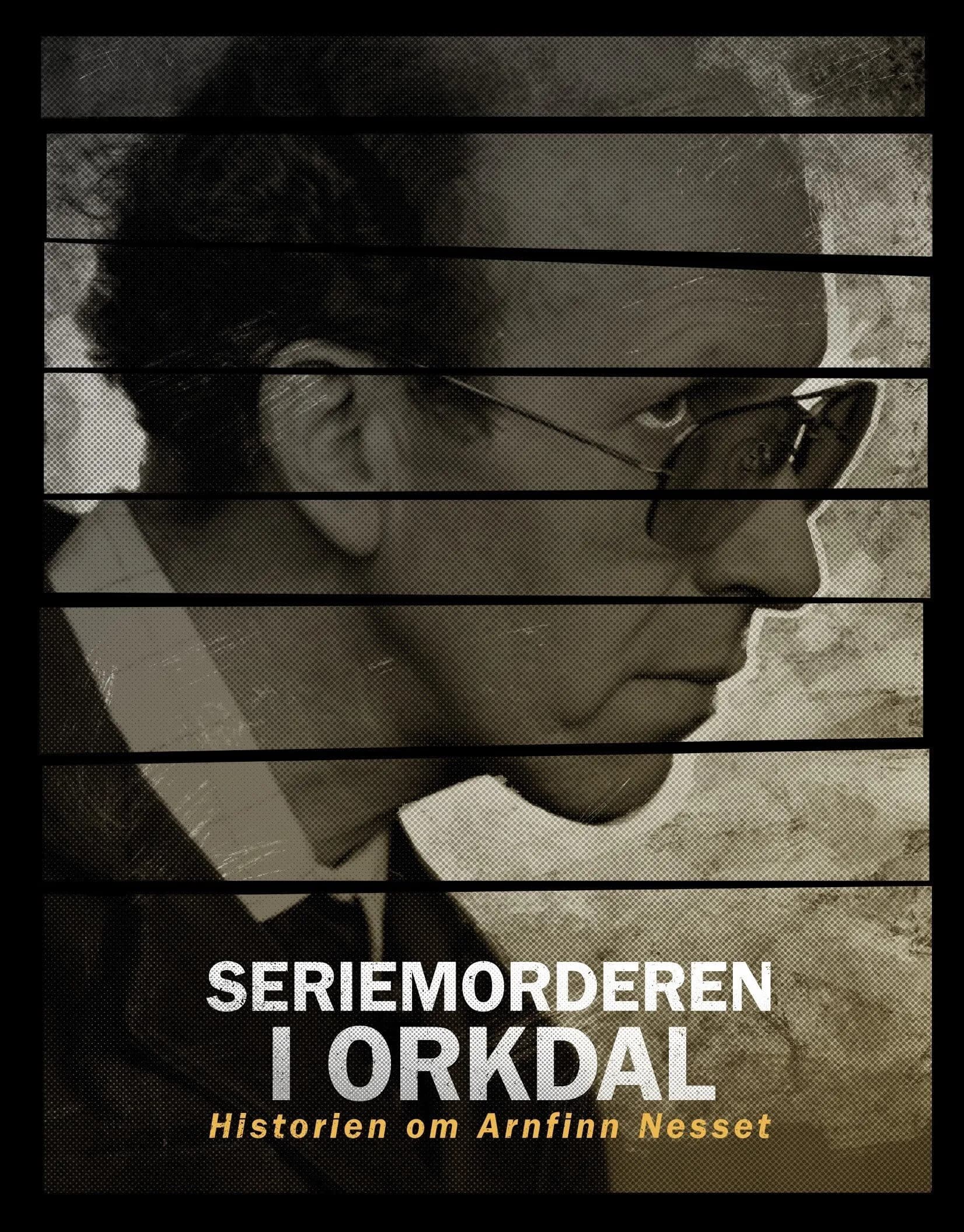 Seriemorderen i Orkdal promotional poster