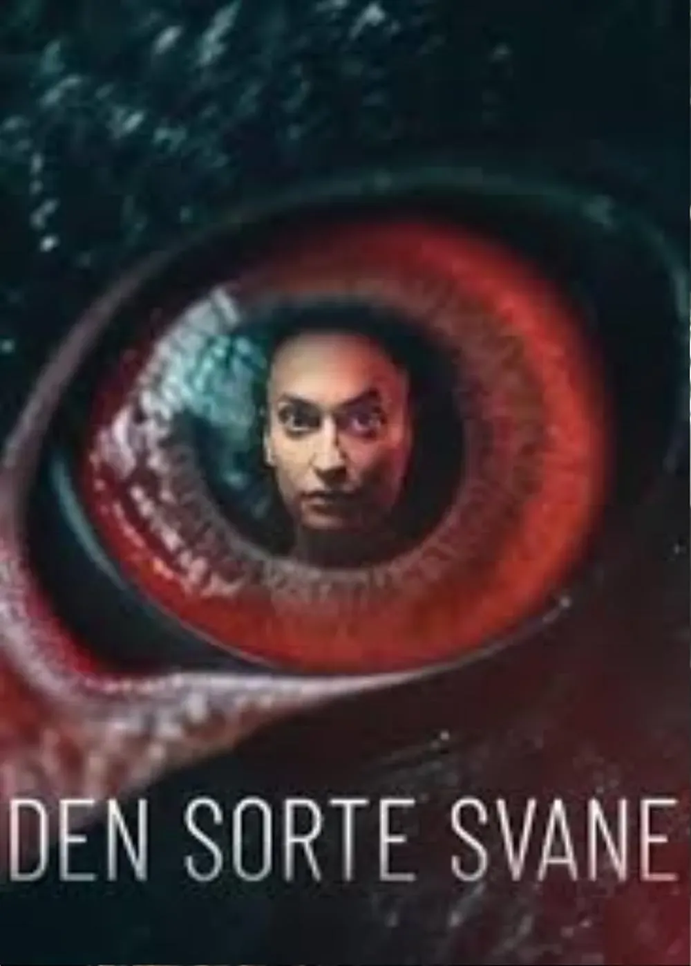 Den sorte svane: kriminelle netværk i overklassen