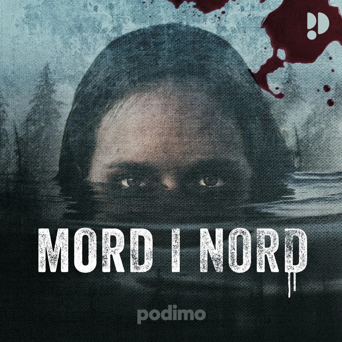Officielt coverbillede for Mord i Nord