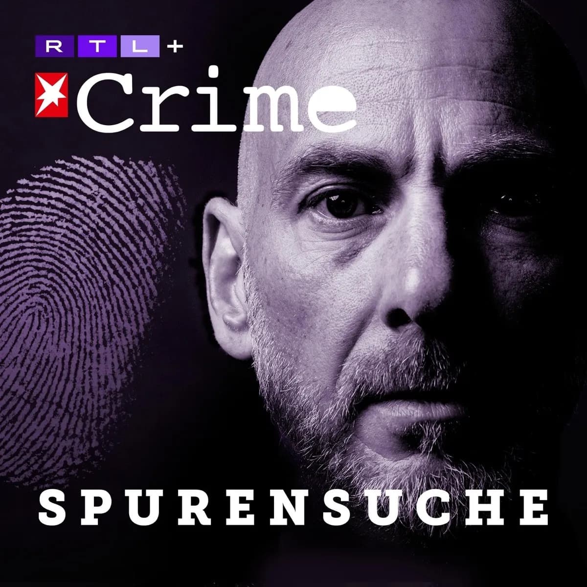 Officielt coverbillede for Stern Crime — Spurensuche