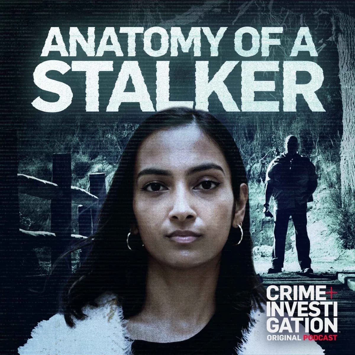 Officielt coverbillede for Anatomy of a Stalker