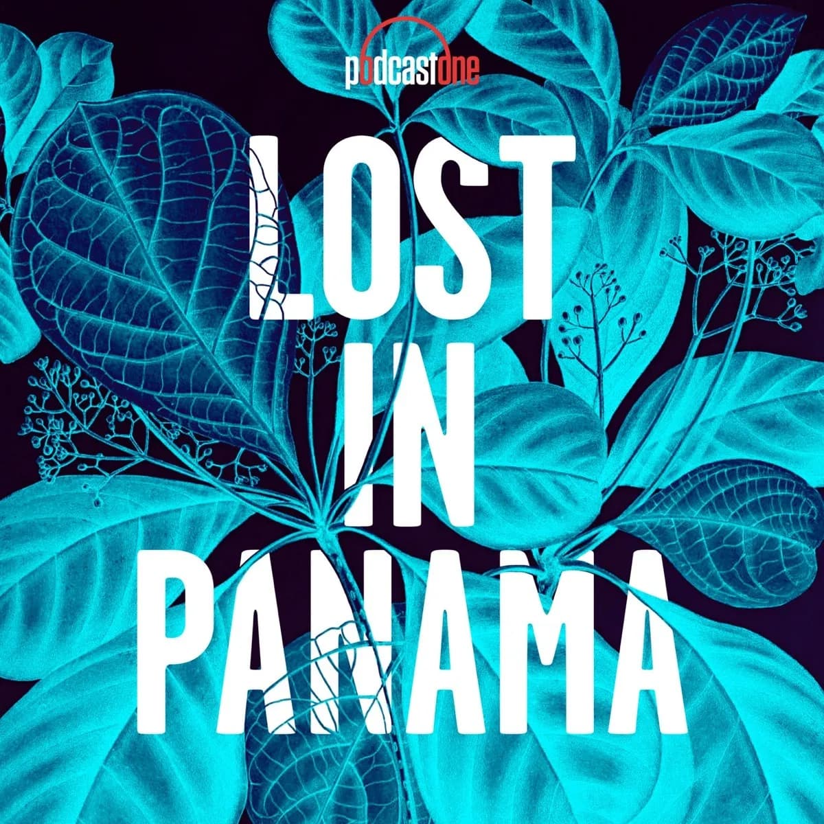 Officielt coverbillede for Lost in Panama