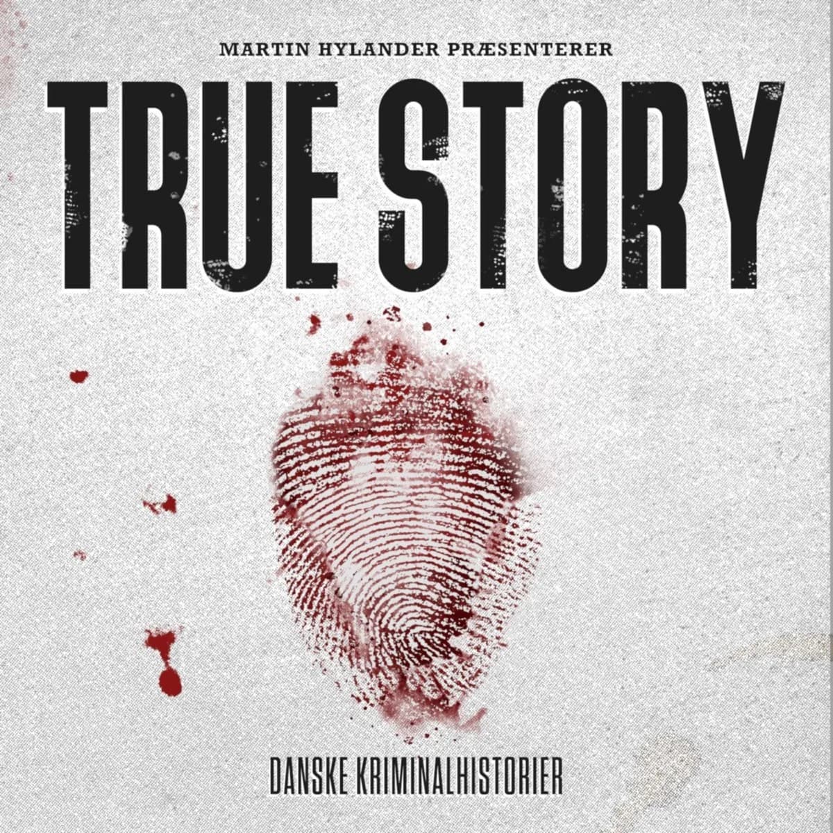 Officielt coverbillede for True Story med Martin Hylander