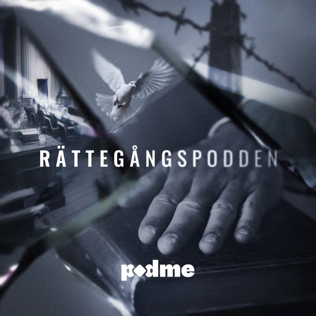 Officielt coverbillede for Rättegångspodden