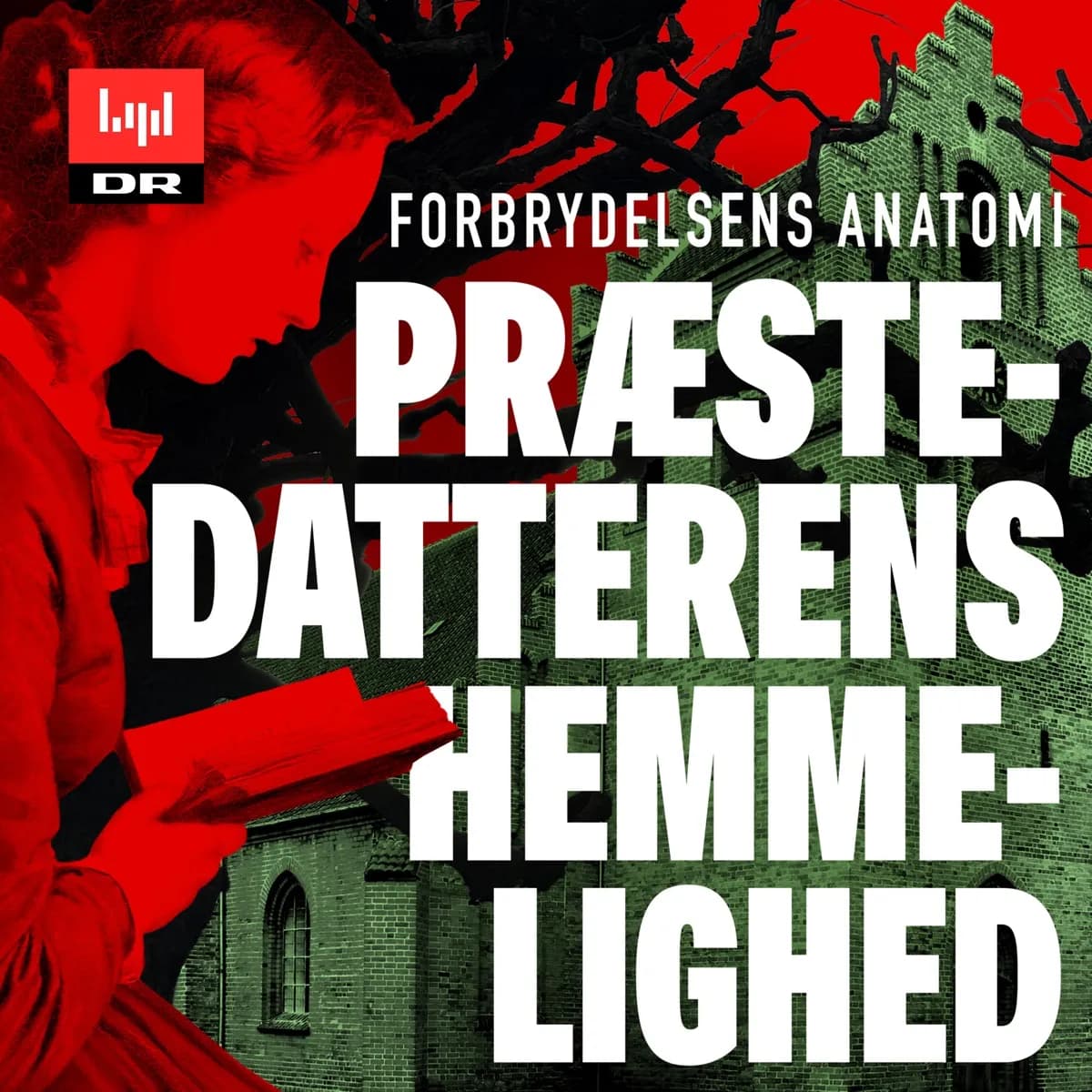 Bonus afsnit — Forbrydelsens Anatomi, podcast-episode