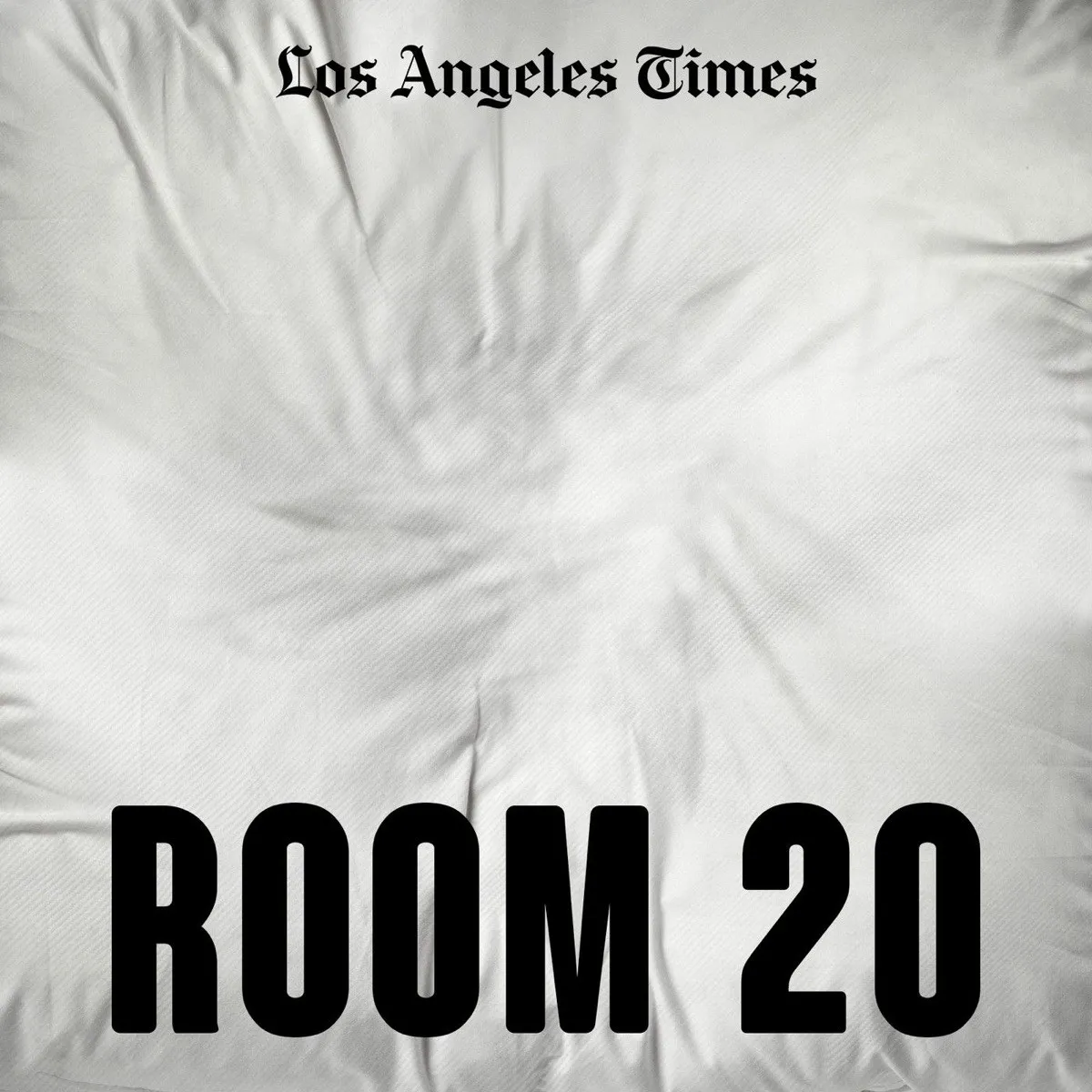 Officielt coverbillede for Room 20