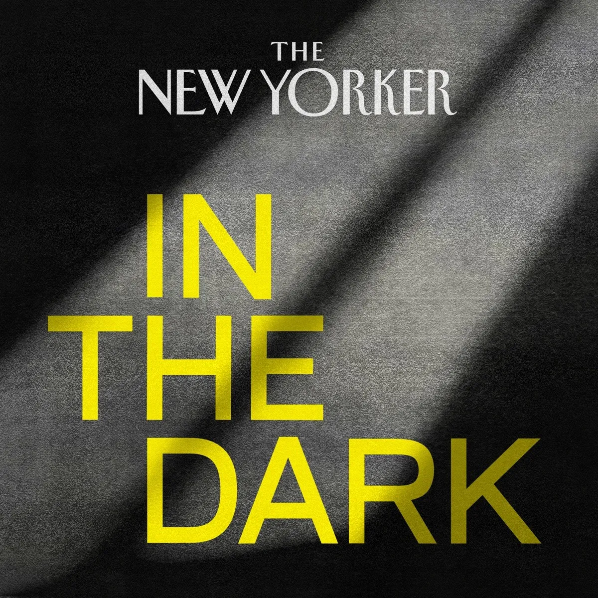 Officielt coverbillede for In the Dark