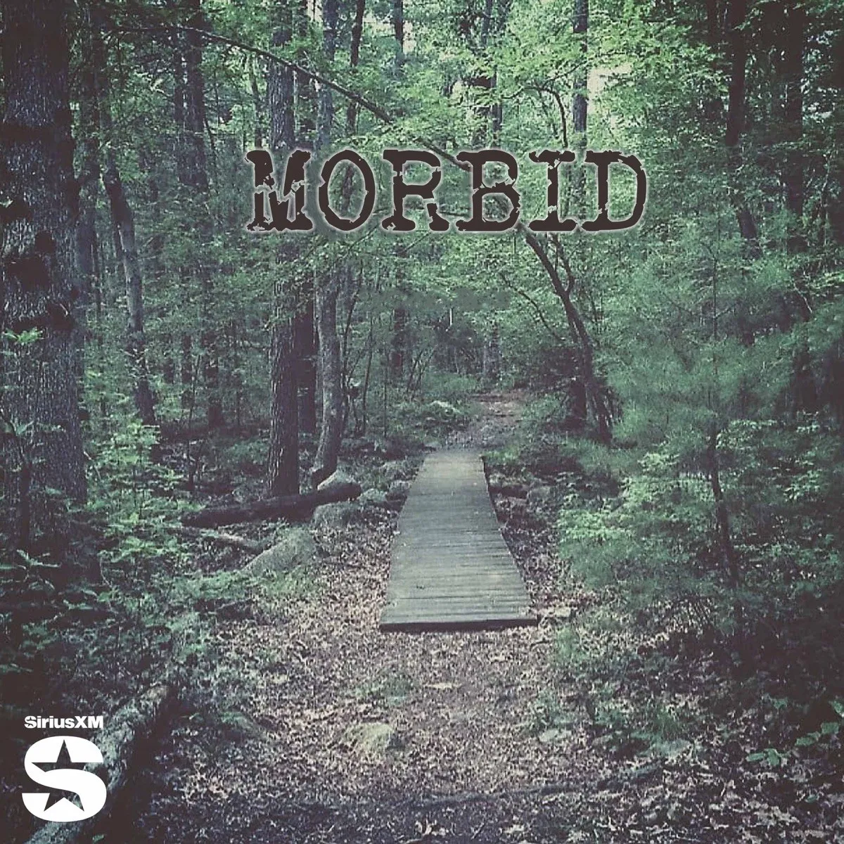Officielt coverbillede for Morbid