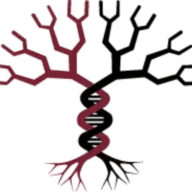 Sorenson Forensics Blog — logo
