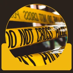 Tea and True Crime (Tansy Bradshaw) — logo